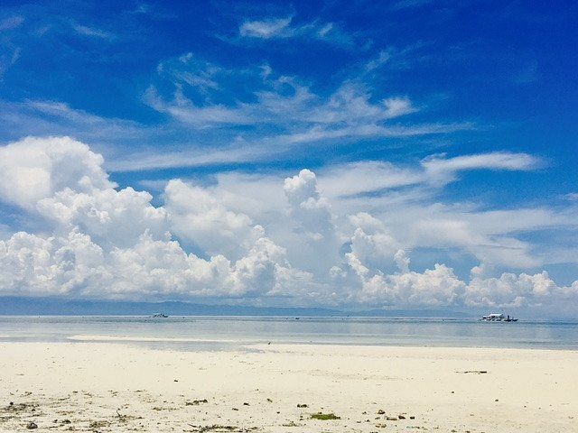 Doljo Beach - Starfish everywhere!