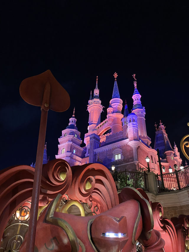 Shanghai Night Magic✨