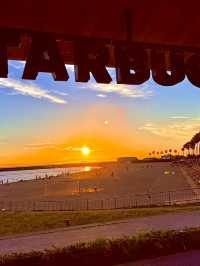 泉南ロングパークで夕焼けデート