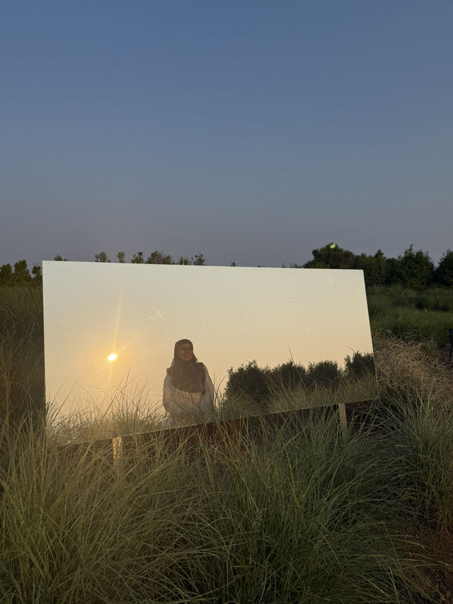 Jeju Garden Glow🌸 Jeju Garden Glow🌸