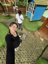 Orchid Forest cikole