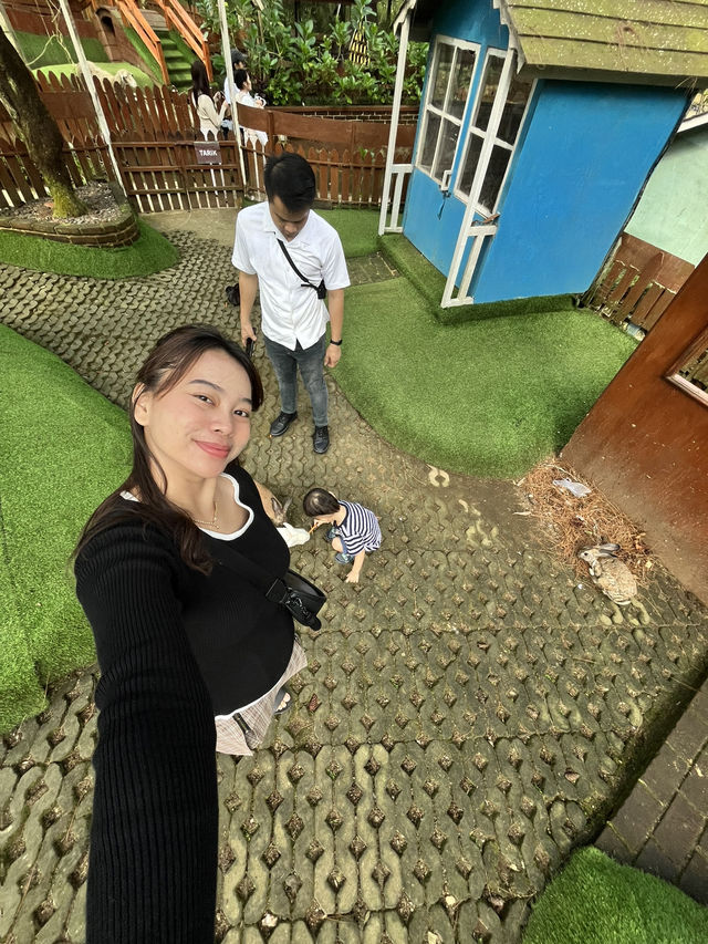 Orchid Forest cikole Orchid Forest cikole