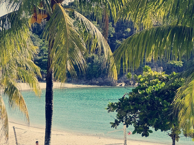 馬來西亞🇲🇾嬤嬤茶屋