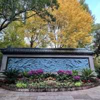 A Relaxing City Oasis — Five Dragon Pool Park