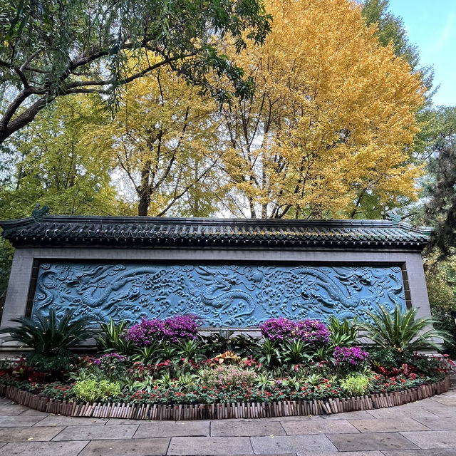 A Relaxing City Oasis — Five Dragon Pool Park A Relaxing City Oasis — Five Dragon Pool Park