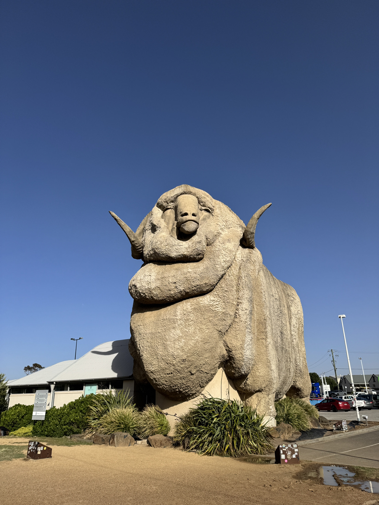 A Legendary Pitstop at the Big Merino in Goulburn 🐏☀️