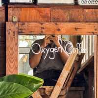 คาเฟ่สโลว์บาร์เล็กๆ สไตล์โฮมมี่สุดชิล #เชียงใหม่ ☕️