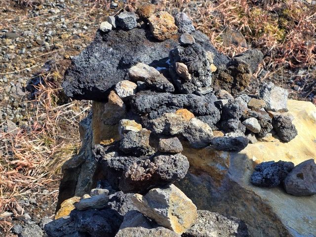 ​[구마모토 근교] 뚜벅이도 OK! 아소 산 버스 투어 & 아소 신사 맛집 '하나비시' 아카규동 먹방 🌋