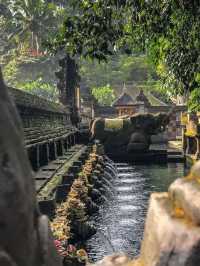 Bali - Indonesia ✨🔥