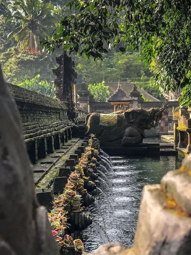 Bali - Indonesia ✨🔥