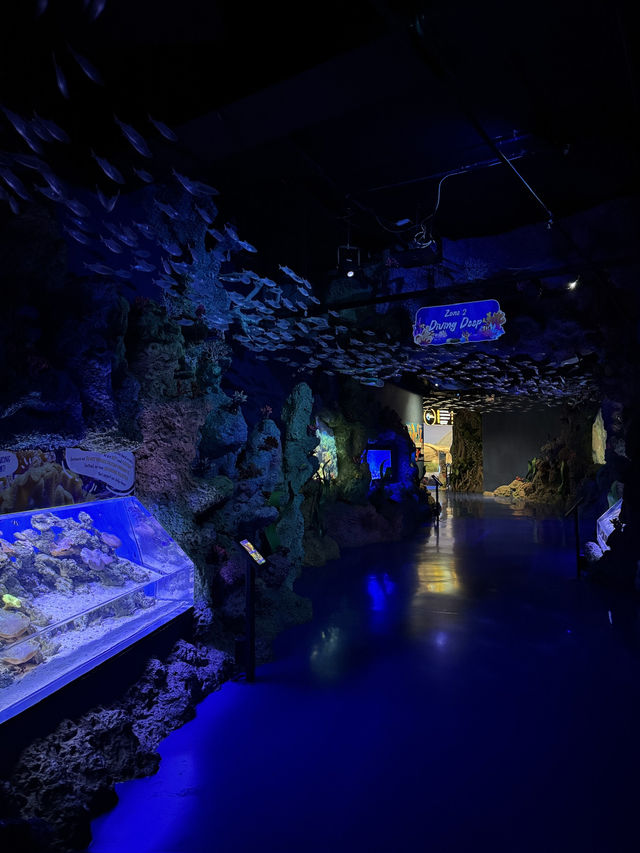 Aquarium Raksasa di Dalam Mall