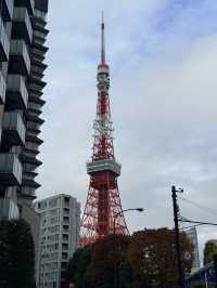 แผนการเดินทาง โตเกียว - คาวากูจิโกะ - ดิสนีย์ซี