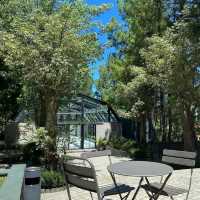 Mist & Morning Brews