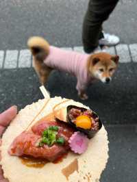 Inuyama Autumn Walk🍁