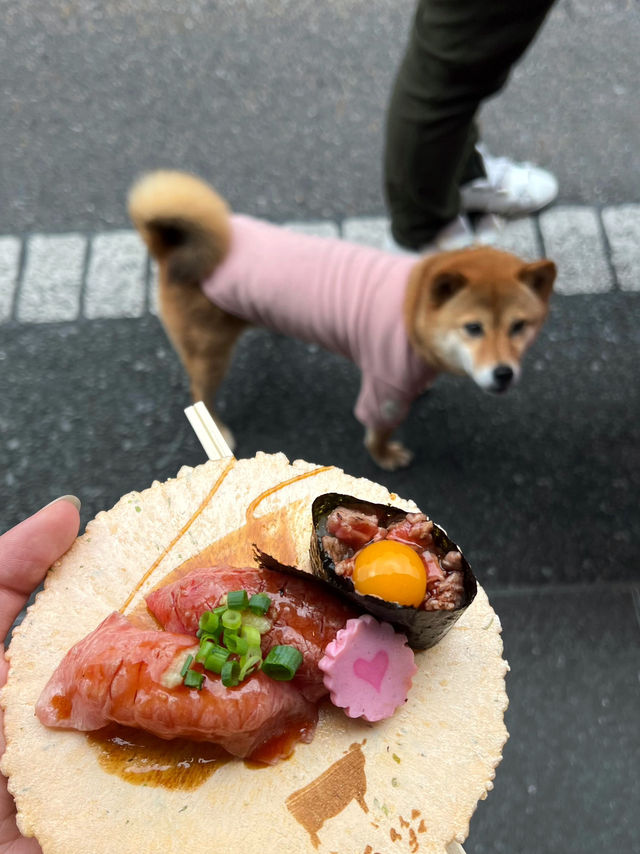 Inuyama Autumn Walk🍁