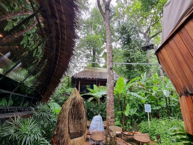 Phuket’s Three Monkeys Restaurant: Jungle Vibes & Tom Yum Delights 🍲🌴