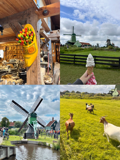 So smelly but so beautiful? Capture the picturesque Dutch windmill