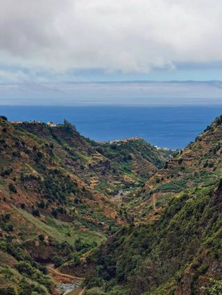 Levada do Moinho A Gentle Walk with Local Charm