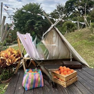 Stroll through the orange grove and enjoy orange picking, beautiful photos, and delicious food all in one place.