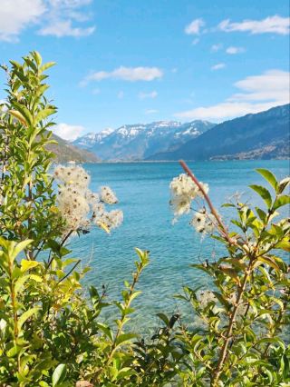 秋の湖畔や川沿いの風景