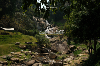 WTF Coffee Camp เป็นคาเฟ่สไตล์แคมป์ปิ้ง