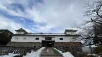 日本國寶 彥根城