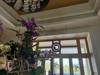 Highly Recommended Cancun Hotel: JW Marriott Cancun Resort & Spa.