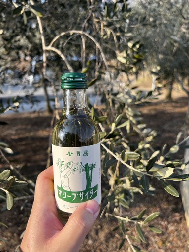 🇯🇵魔女配達部キキが飛び出してくるような小豆島オリーブ公園 | Trip