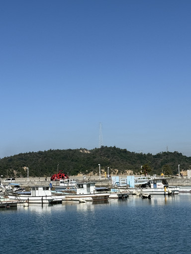 直島必見のランドマーク——草間彌生の「赤かぼちゃ」＆直島の展示施設の