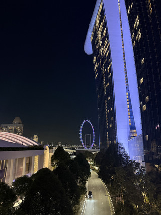 Nightscape Bliss and Skyline Glam in Singapore