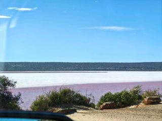 Pink Lake - Hutt lagoon