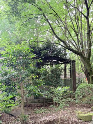 宇都宮の八幡山公園：市街地で美しい夕日を眺めるならここ！