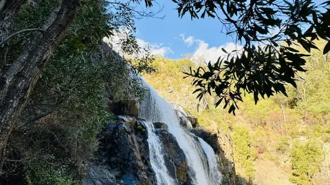 그램피언스 인기 폭포 MacKenzie Falls 하이킹 코스 총정리. — traveler post in 호르섬