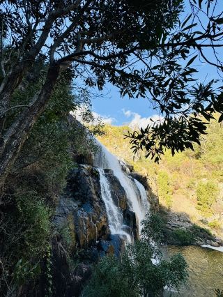 🇦🇺 格蘭坪人氣瀑布MacKenzie Falls 行山路線全攻略