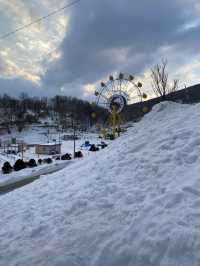 🇯🇵 🦀 Otaru’s Perfect One-Day Route | Sankaku Market, Otaru Aquarium & Otaru Canal ❄️