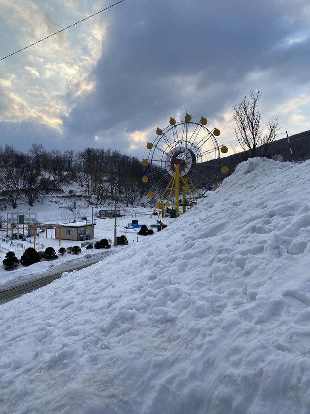 🇯🇵 🦀 Otaru’s Perfect One-Day Route | Sankaku Market, Otaru Aquarium & Otaru Canal ❄️