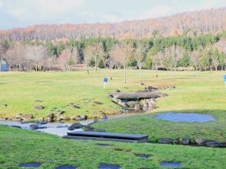 Hokkaido Travel Guide: All Four Seasons' Wonders, Delicious Food, Hot Springs, and Romantic Port Cities Included ❄️🌸🍣