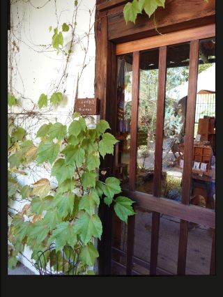 Like Stepping into a Forest Cottage: The Soul-Healing nuu Kominka Cafe in Tokoname, Nagoya 🌲
