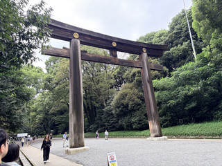 🌿東京市中心的一方寧靜|走進明治神宮,瞬間遠離城市喧囂
