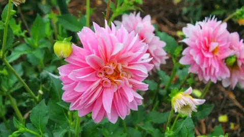  ベルビュー植物園で過ごす、絵画のように美しい秋の一日 ベルビュー植物園、ワシントン州。 — traveler post in ベルビュー