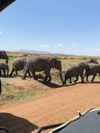 The Mara Beyond the River: Discovering Underrated Gems