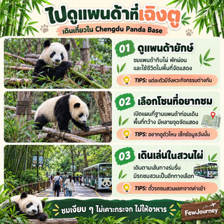 Going to Chengdu and want to see the pandas? Save this guide!