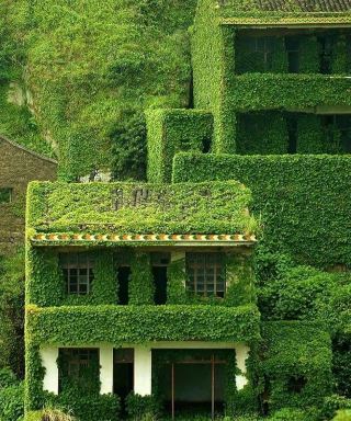 Uncovering China's Secret Green Village: Journey to Houtouwan