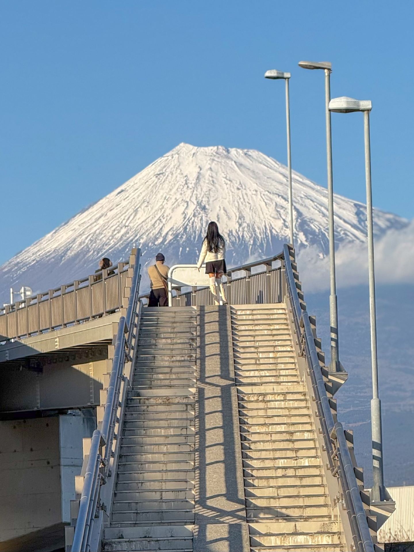 富士山へ続く橋！映えスポット「富士山夢の大橋」の場所を教えちゃいます🗻