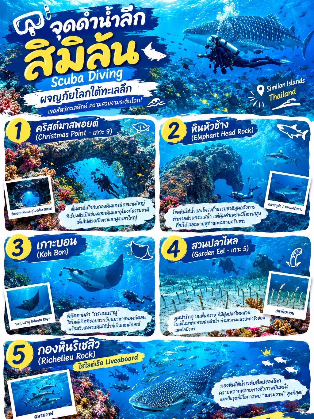🌊✨ Discover the underwater world of Similan Islands: A paradise for diving lovers! 🪸🐢
