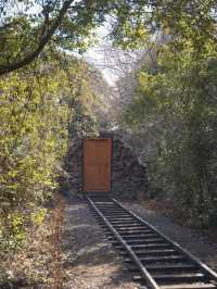 동화같은 숲속 마을에서 힐링하기🌿🛤