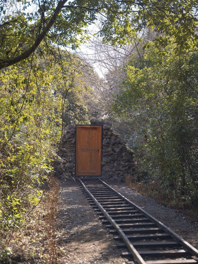 동화같은 숲속 마을에서 힐링하기🌿🛤