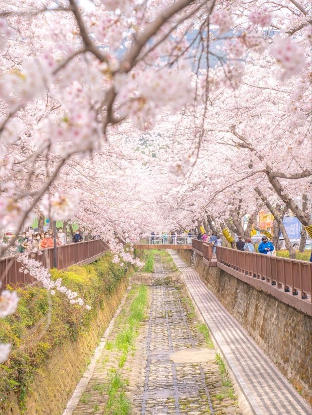 로망가득한 로망스다리