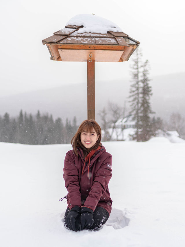Snow Paradise @ Bretton Woods, New Hampshire