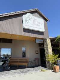 From Wanaka to Omarama- Experience Authentic Kiwi Farming at The Wrinkly Rams